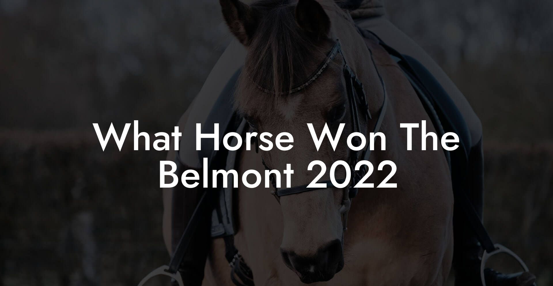 What Horse Won The Belmont 2022