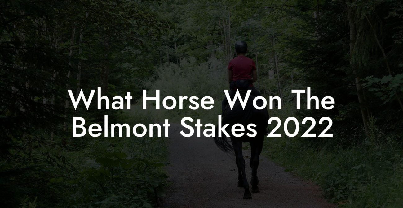 What Horse Won The Belmont Stakes 2022