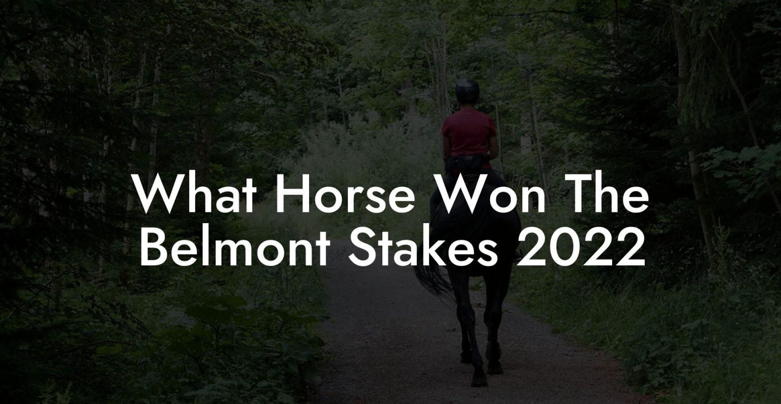 What Horse Won The Belmont Stakes 2022 How To Own a Horse