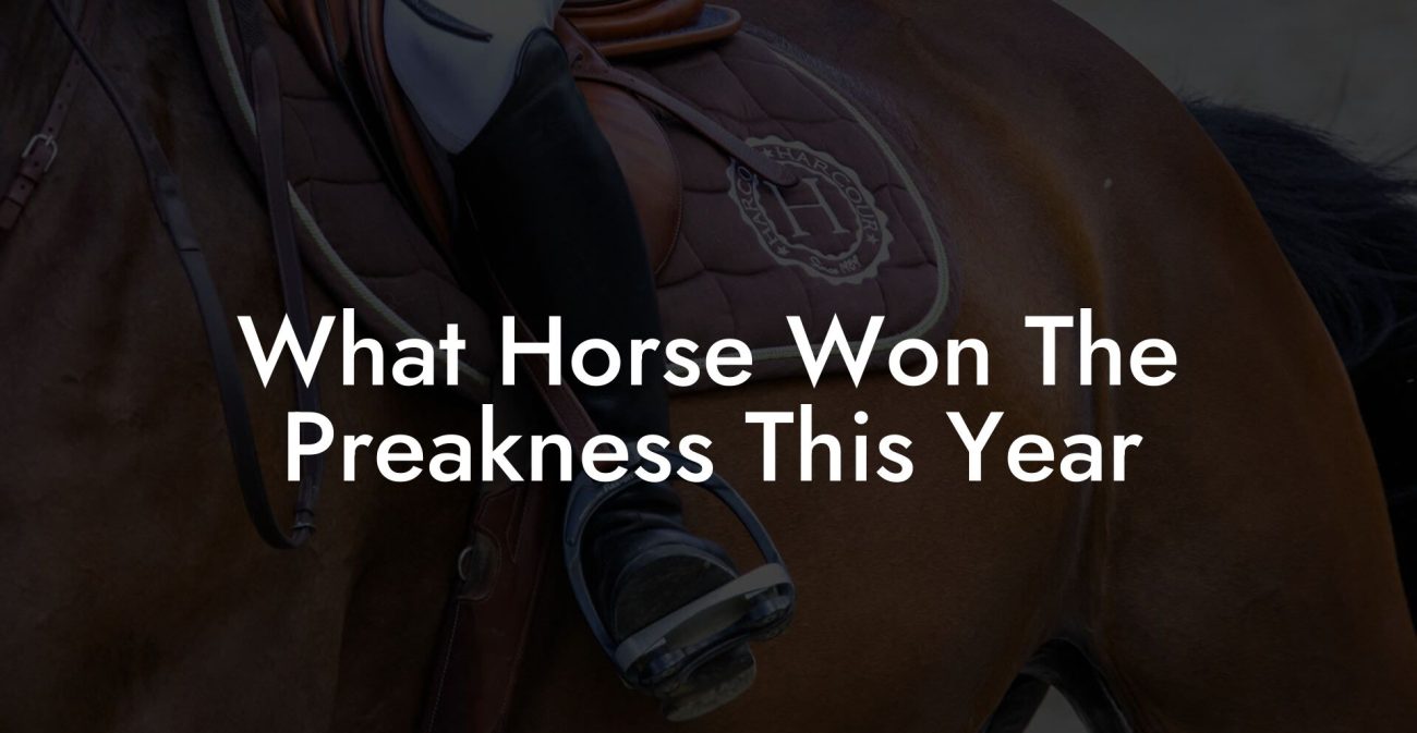 What Horse Won The Preakness This Year