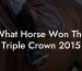 What Horse Won The Triple Crown 2015