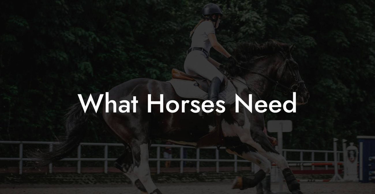 What Horses Need