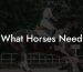 What Horses Need
