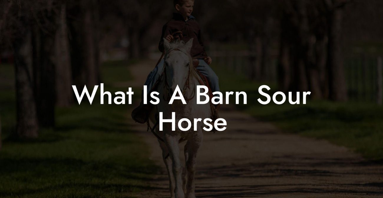 What Is A Barn Sour Horse