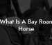 What Is A Bay Roan Horse