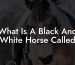 What Is A Black And White Horse Called