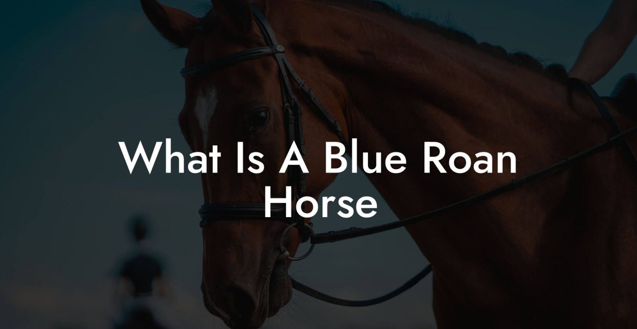 What Is A Blue Roan Horse