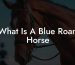 What Is A Blue Roan Horse
