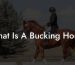 What Is A Bucking Horse