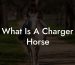 What Is A Charger Horse
