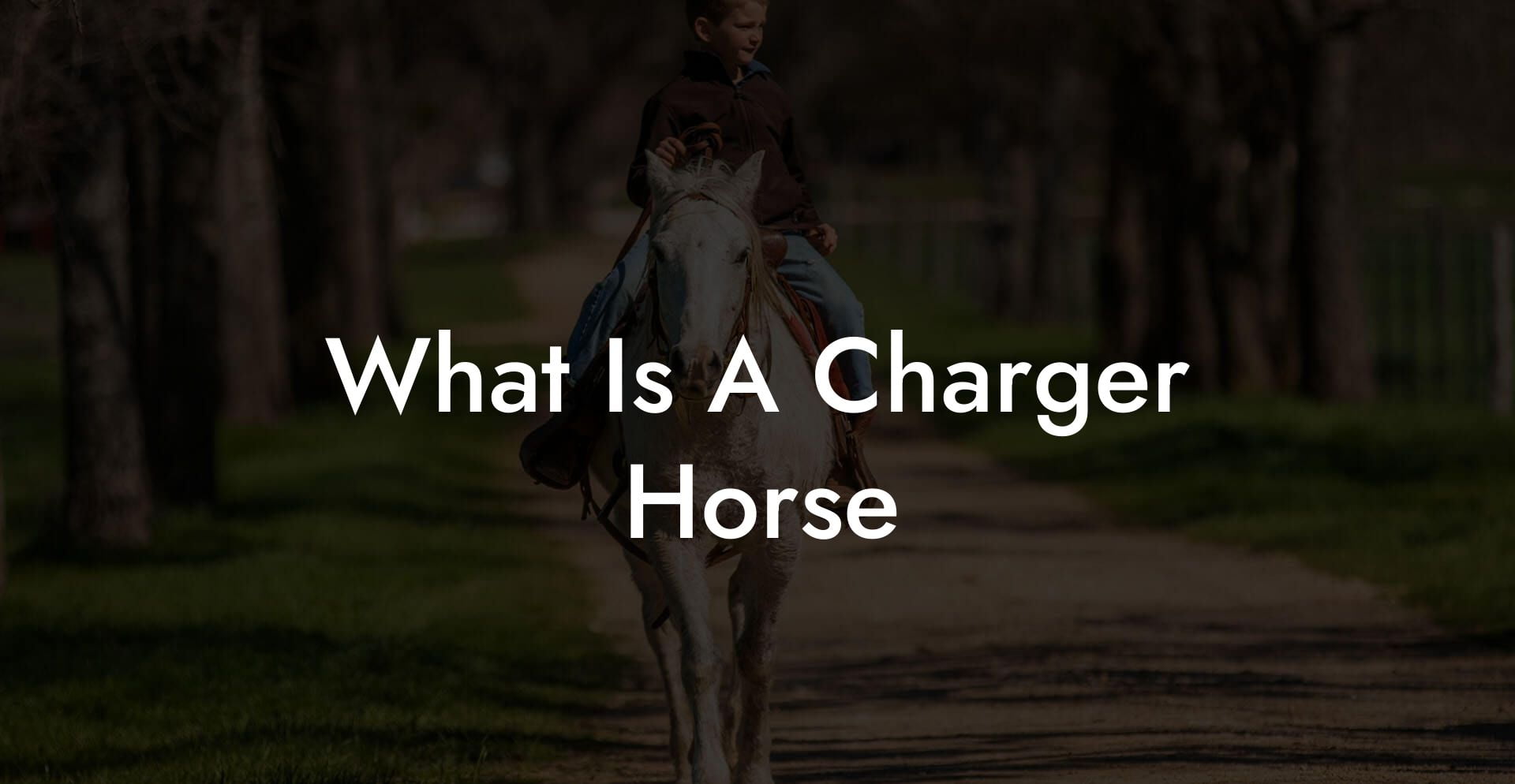 What Is A Charger Horse