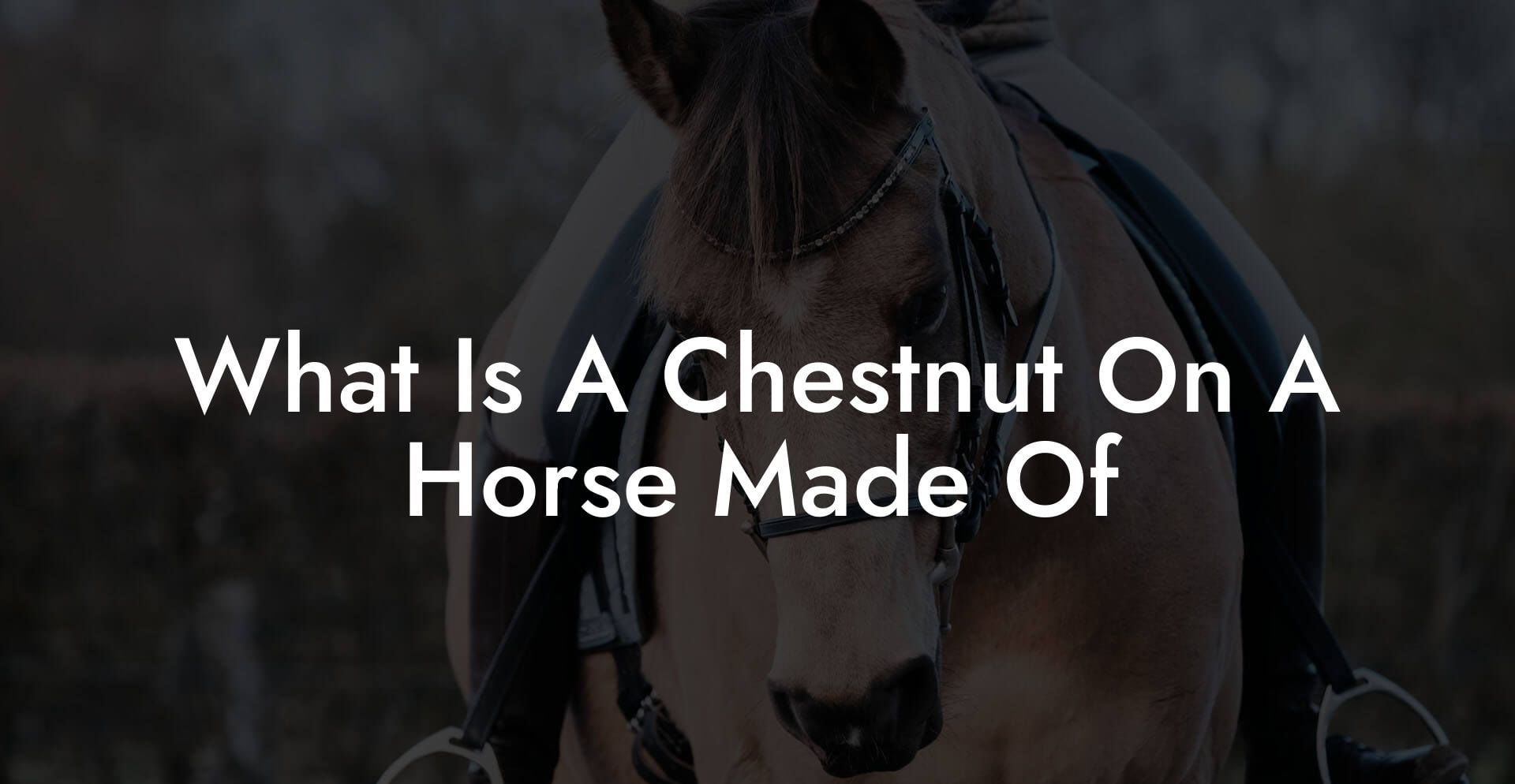 What Is A Chestnut On A Horse Made Of
