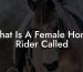 What Is A Female Horse Rider Called