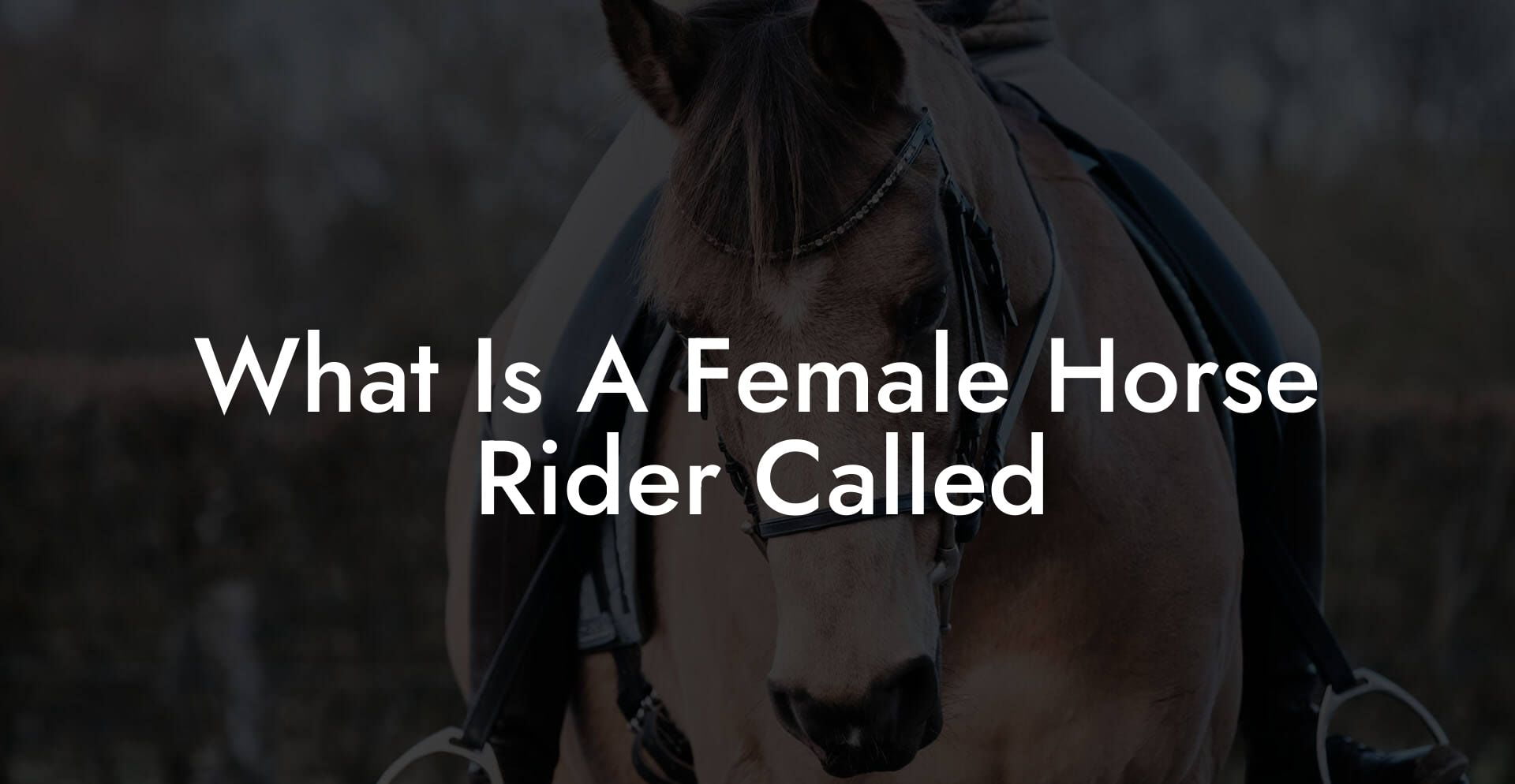 What Is A Female Horse Rider Called