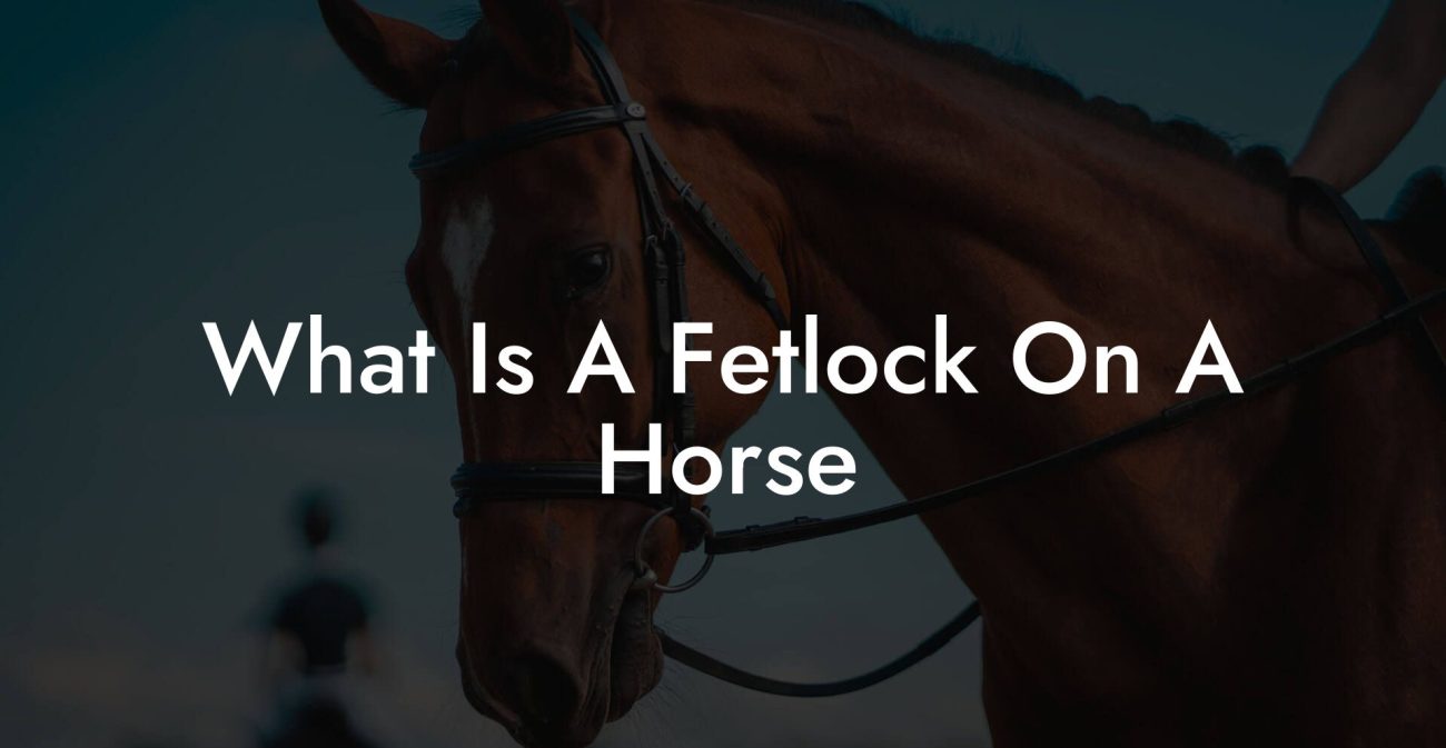 What Is A Fetlock On A Horse