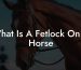 What Is A Fetlock On A Horse