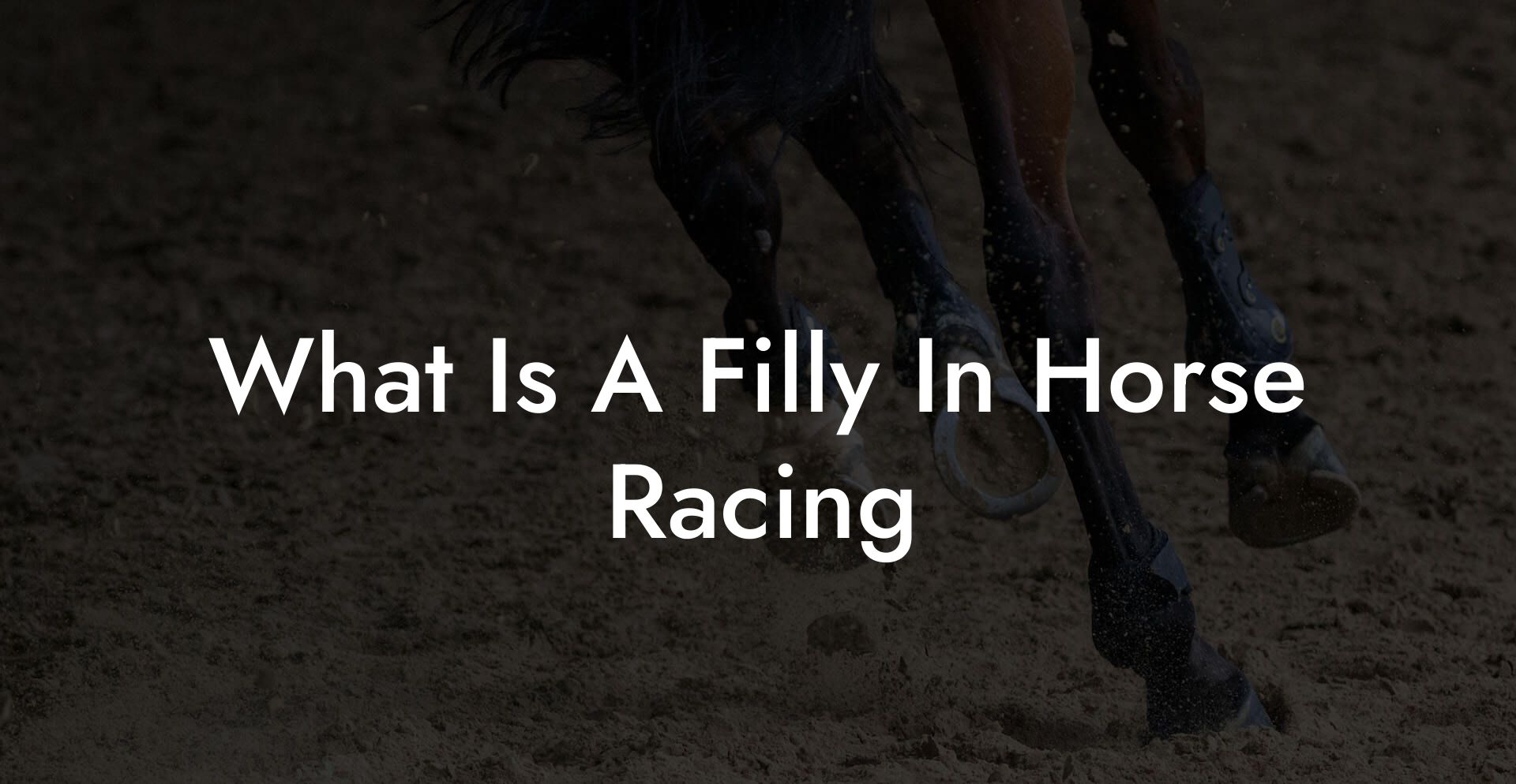 What Is A Filly In Horse Racing