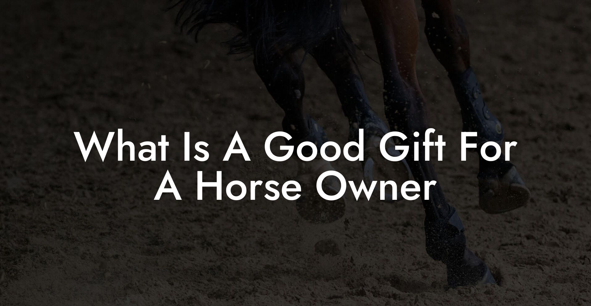 What Is A Good Gift For A Horse Owner