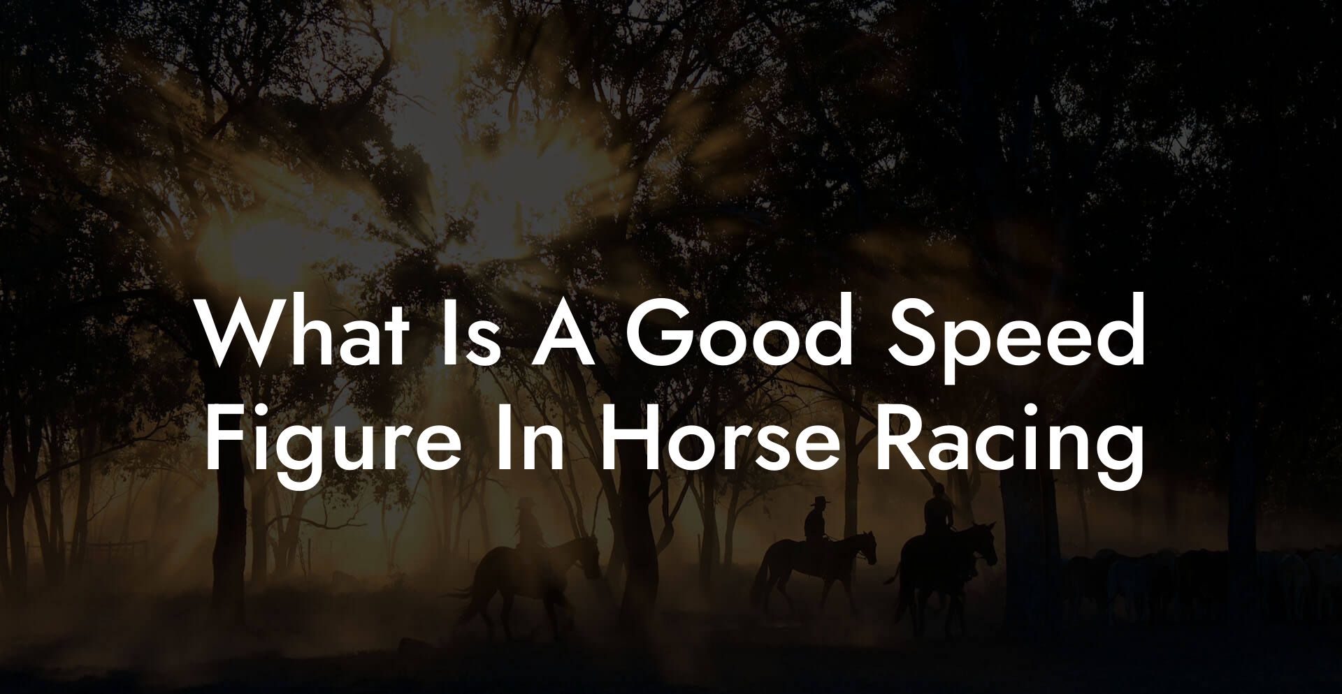 What Is A Good Speed Figure In Horse Racing