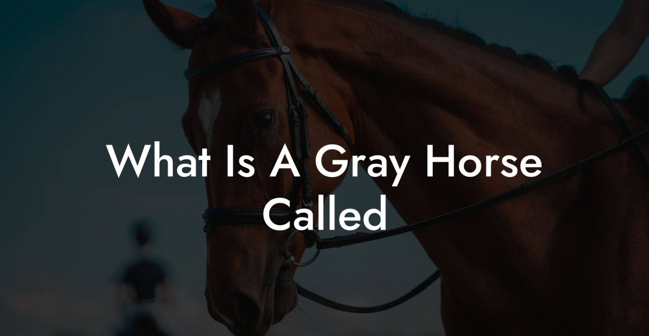 What Is A Gray Horse Called