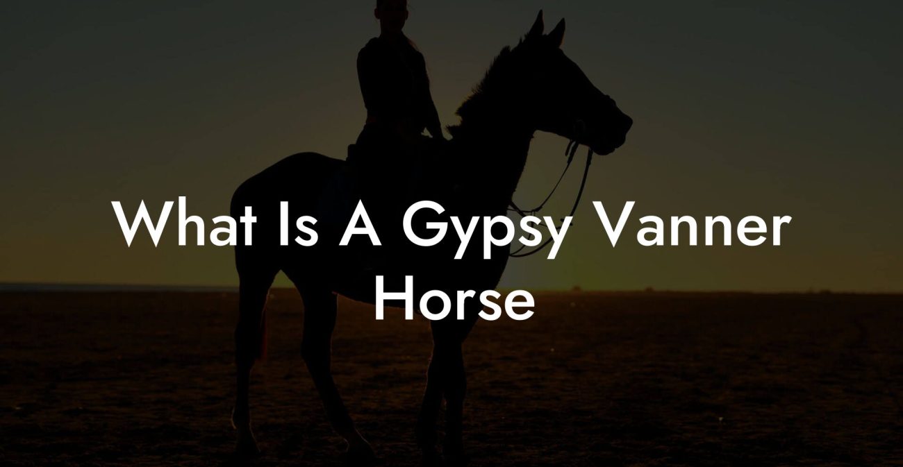 What Is A Gypsy Vanner Horse