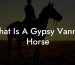 What Is A Gypsy Vanner Horse