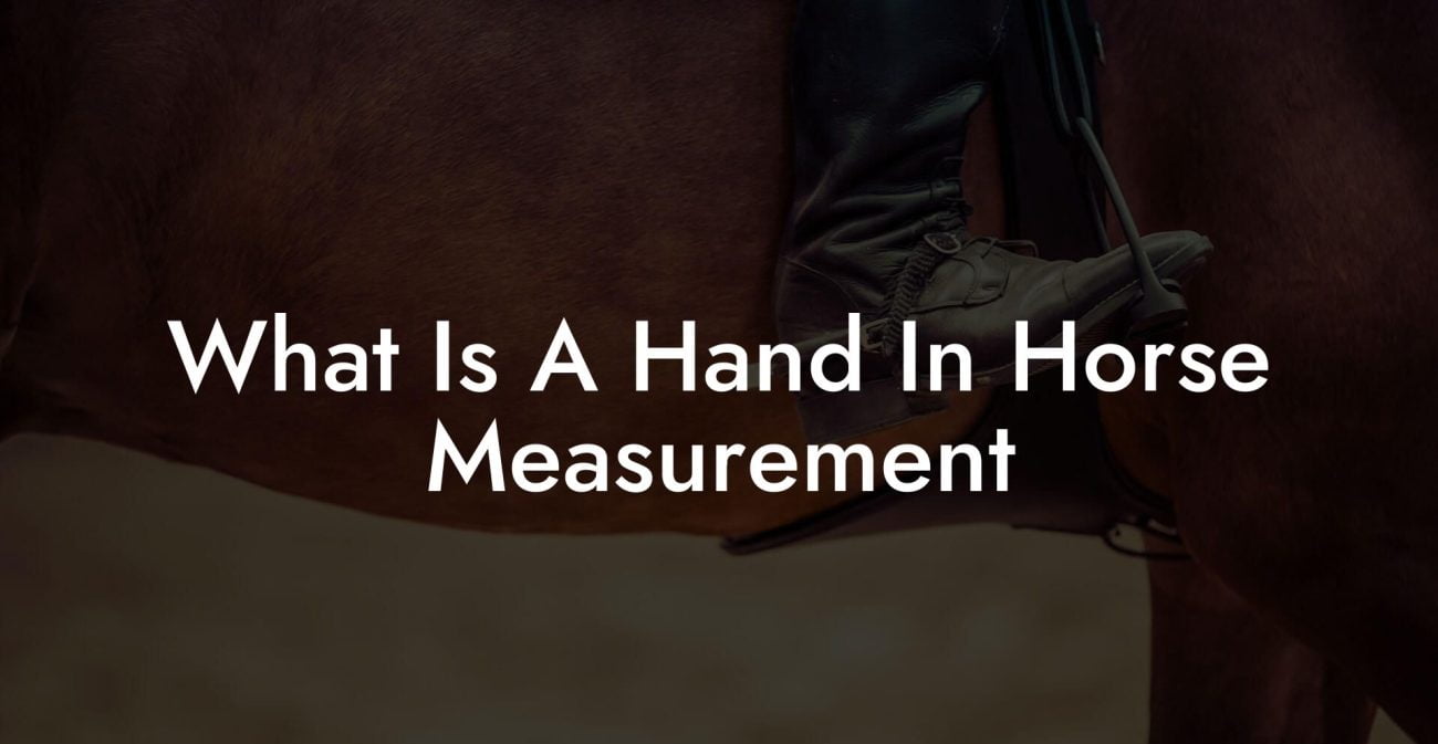 What Is A Hand In Horse Measurement