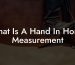What Is A Hand In Horse Measurement