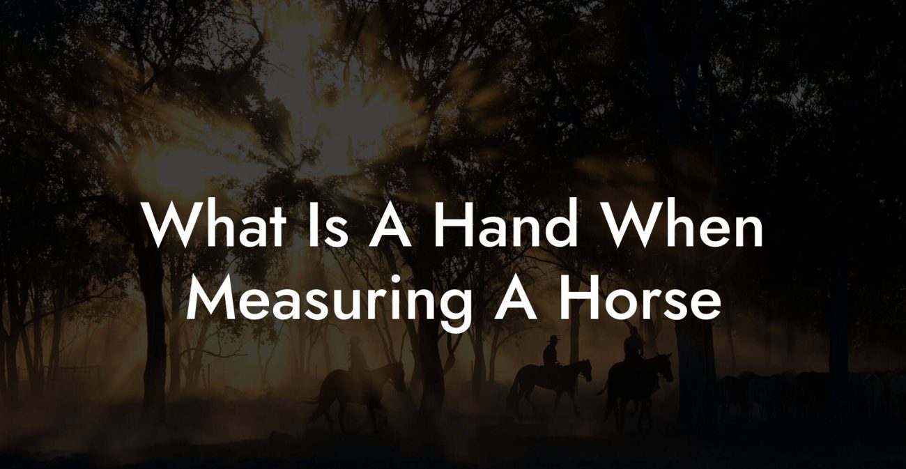 What Is A Hand When Measuring A Horse