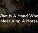 What Is A Hand When Measuring A Horse