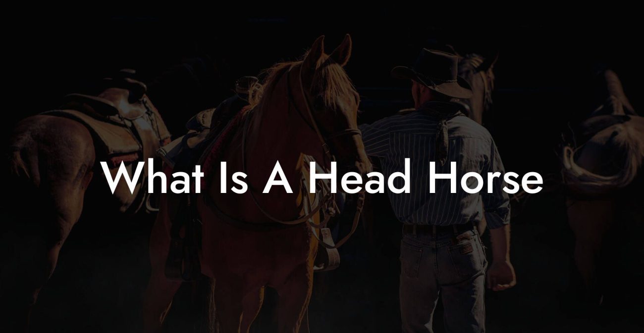 What Is A Head Horse