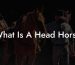 What Is A Head Horse