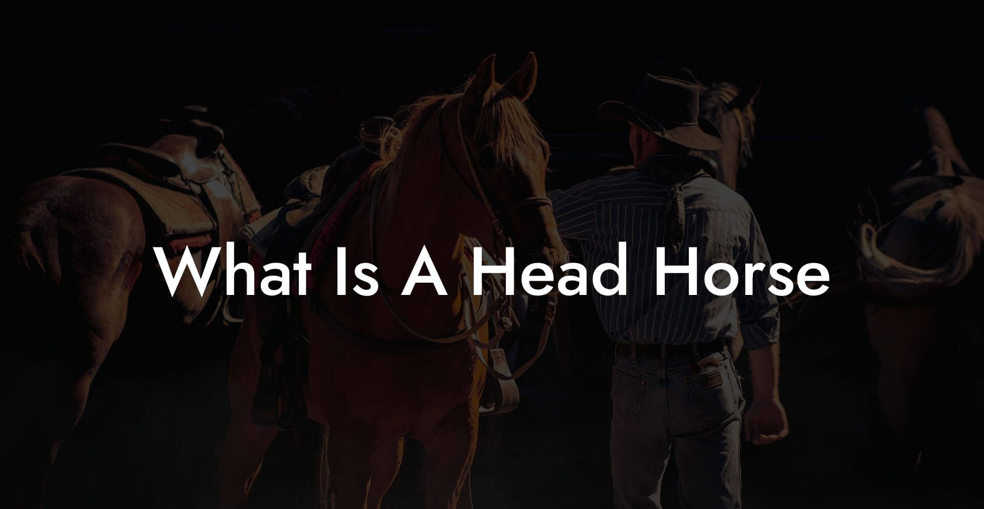 What Is A Head Horse