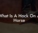 What Is A Hock On A Horse