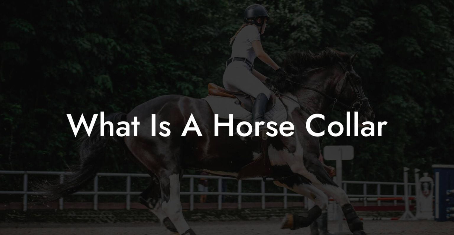 What Is A Horse Collar How To Own a Horse