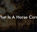 What Is A Horse Corral