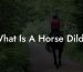 What Is A Horse Dildo