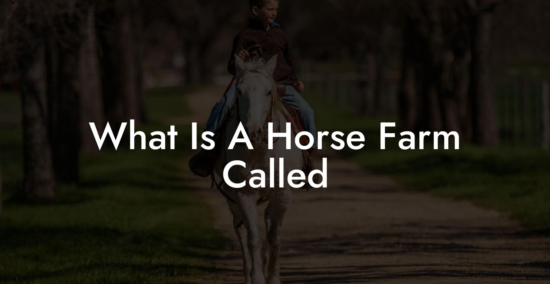 What Is A Horse Farm Called