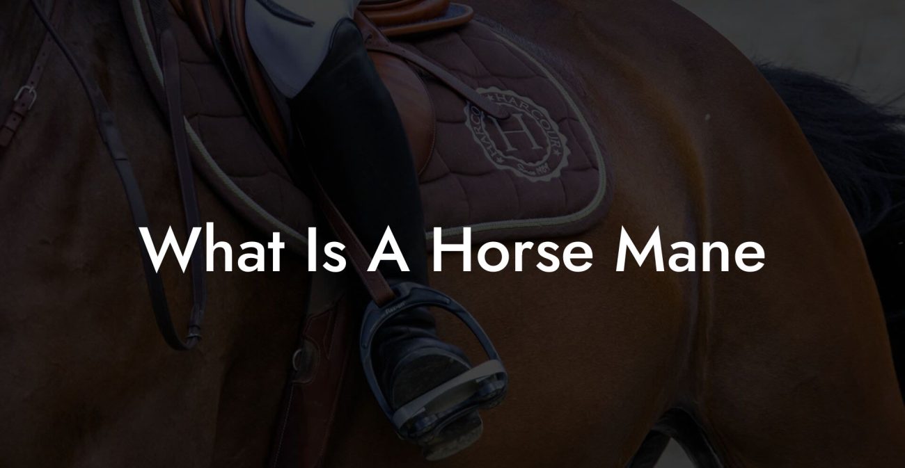 What Is A Horse Mane