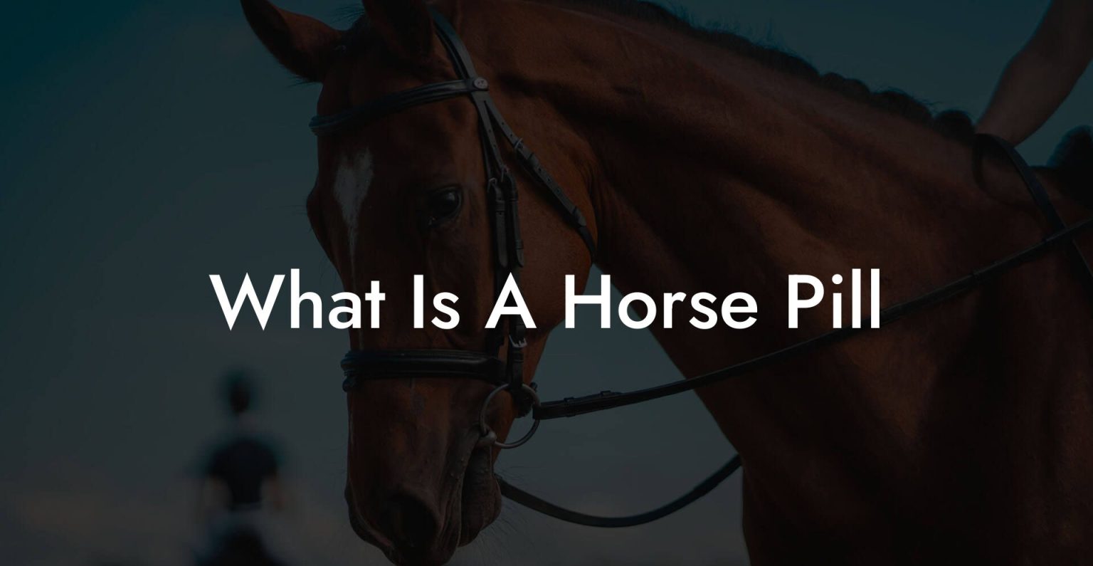 What Is A Horse Pill How To Own a Horse