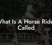 What Is A Horse Rider Called