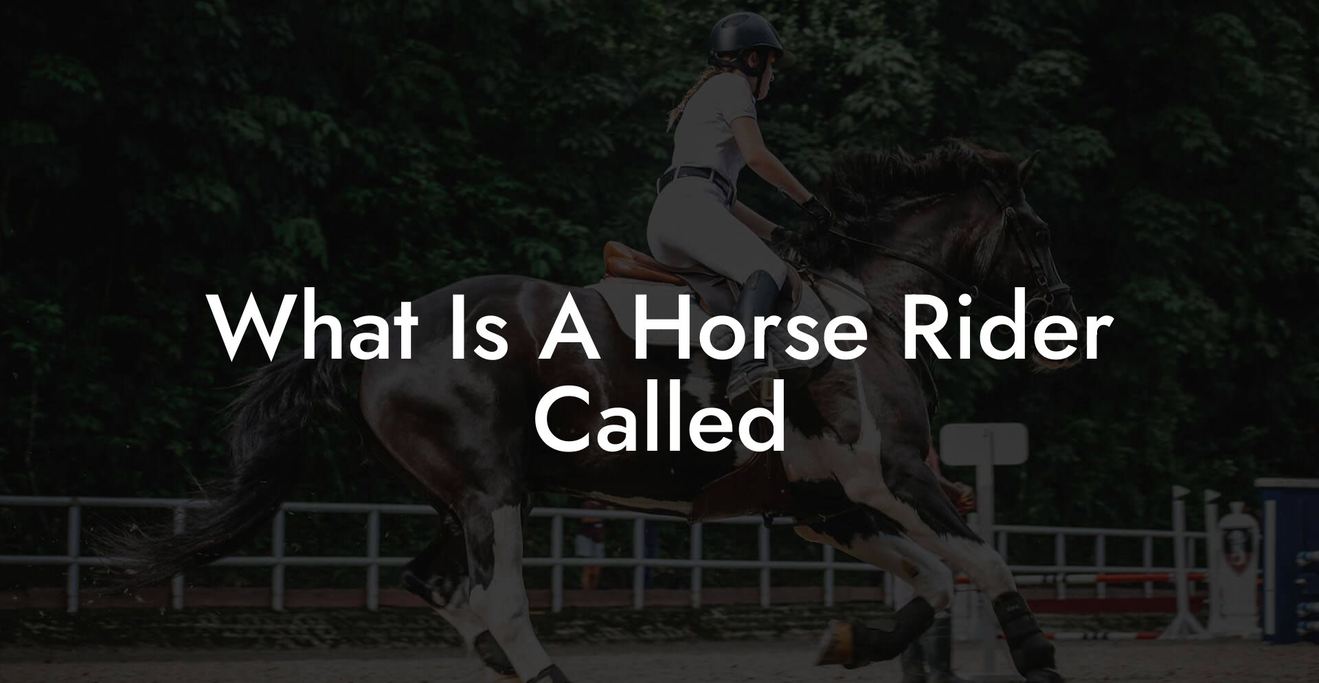 What Is A Horse Rider Called