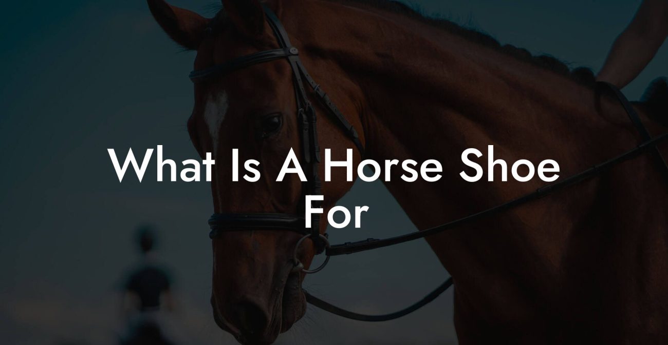 What Is A Horse Shoe For