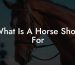 What Is A Horse Shoe For