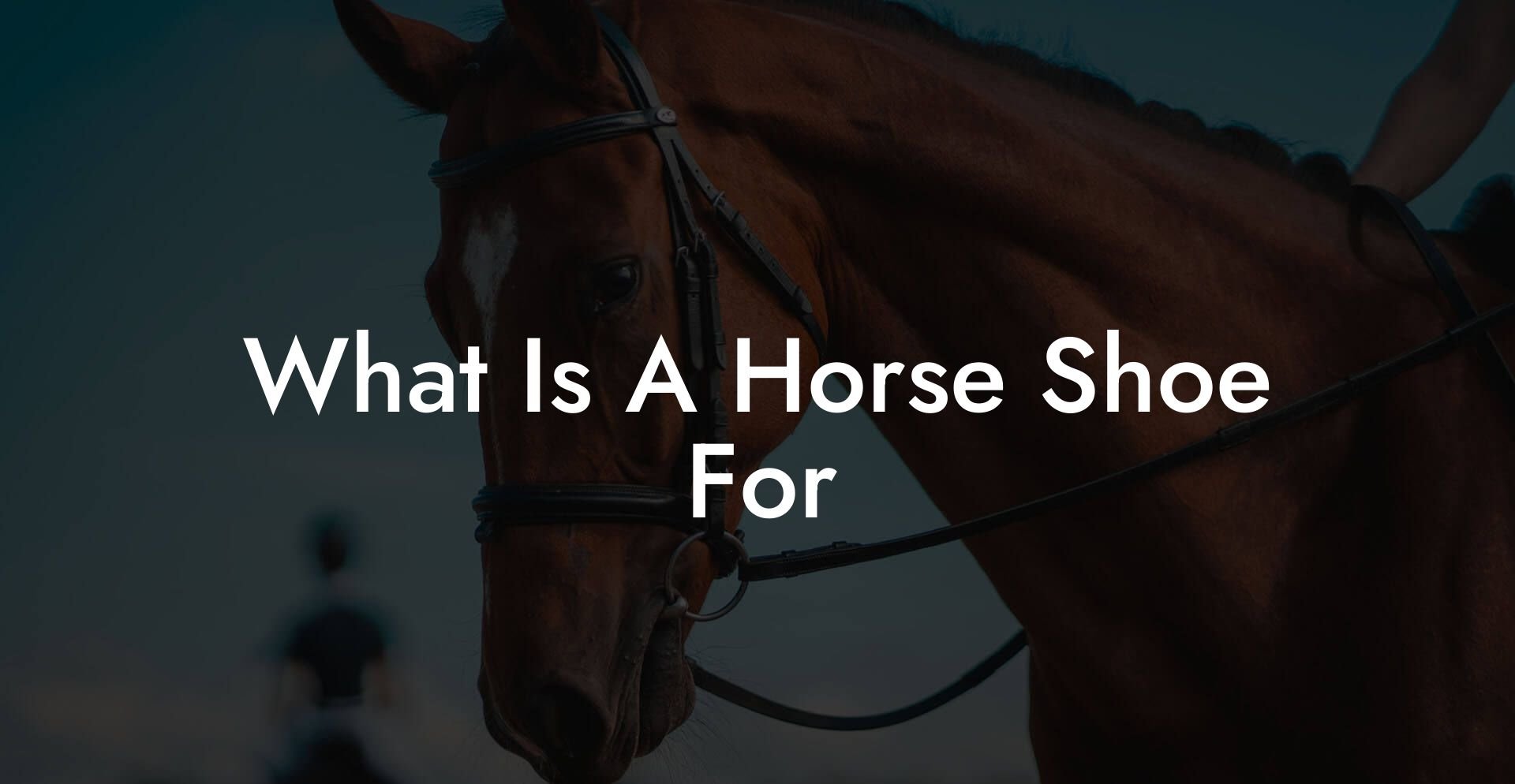 What Is A Horse Shoe For