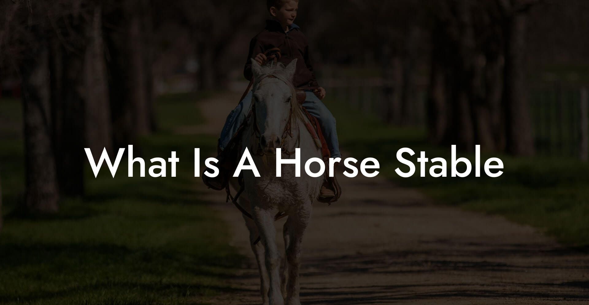 What Is A Horse Stable