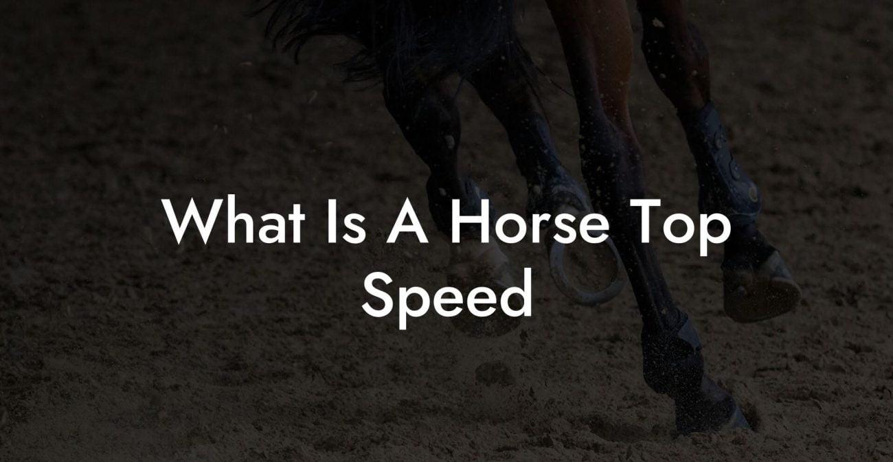 What Is A Horse Top Speed