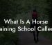What Is A Horse Training School Called?