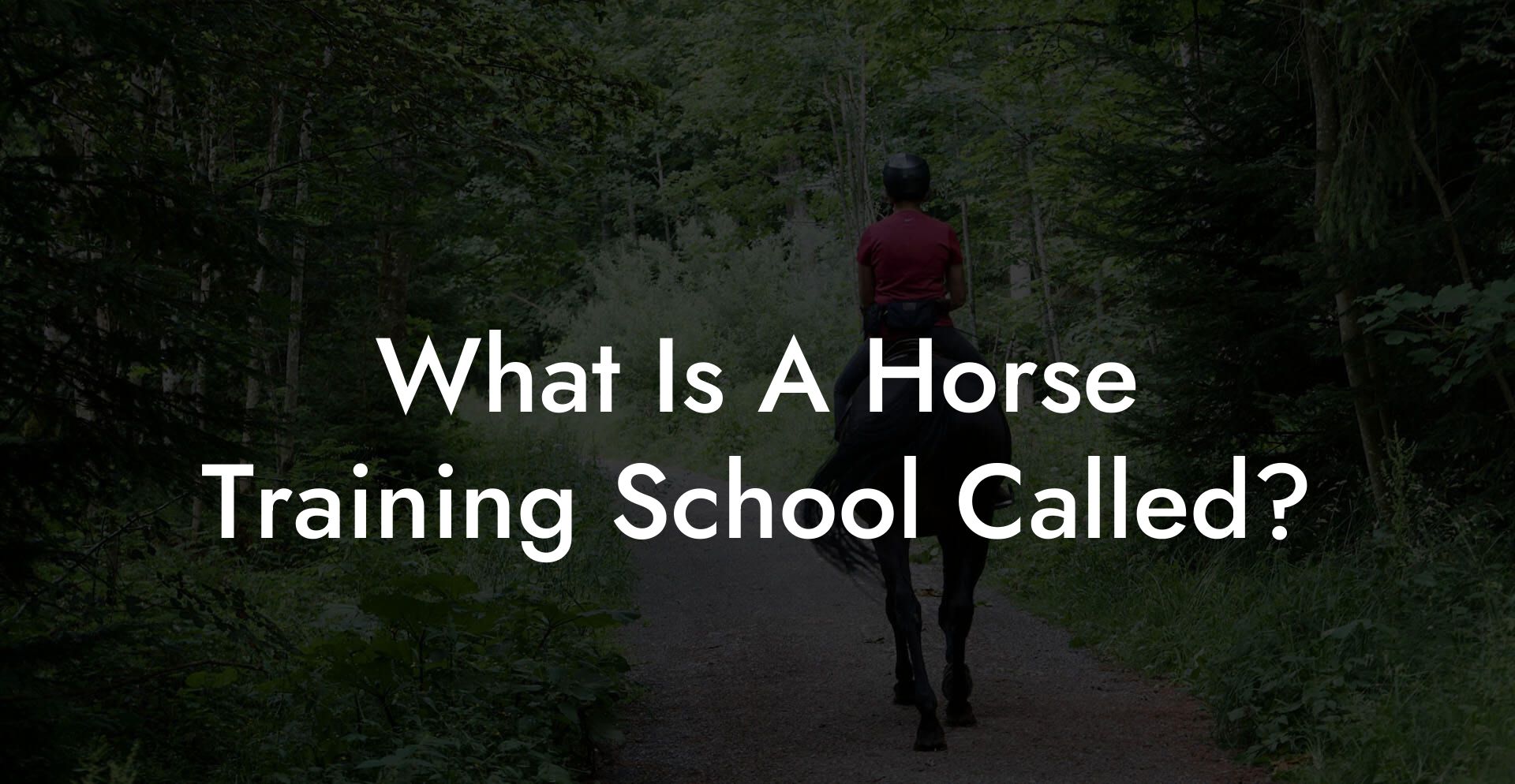 What Is A Horse Training School Called?