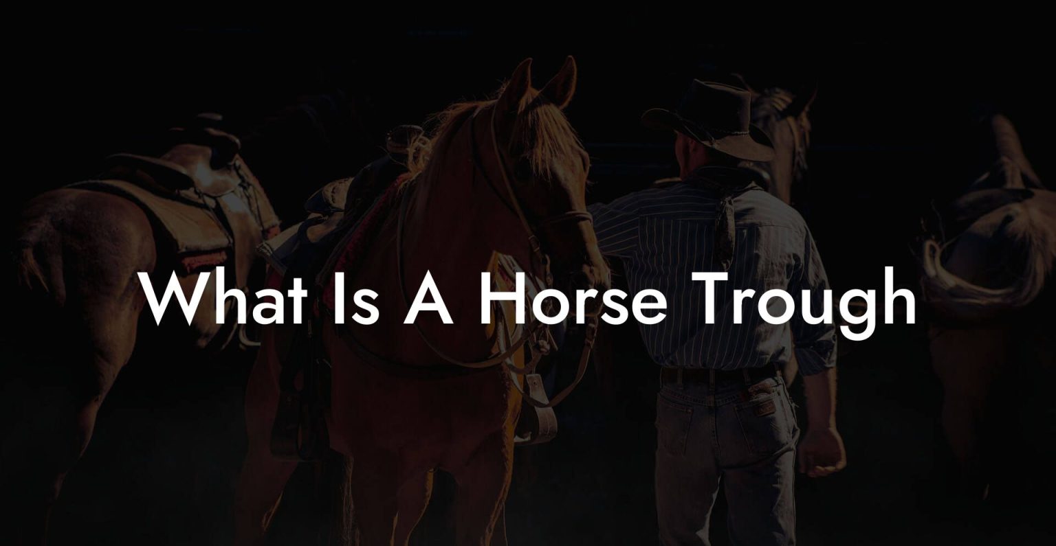 What Is A Horse Trough How To Own a Horse